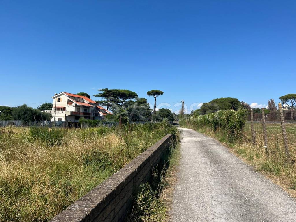 immagine annuncio 5 di 9