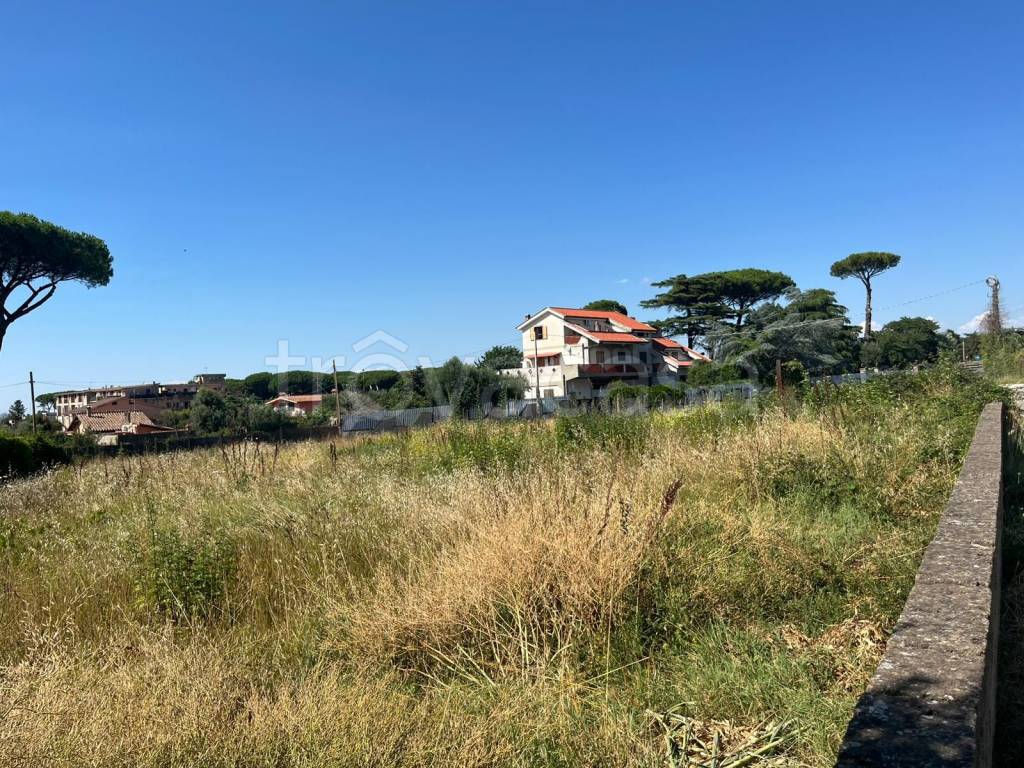 immagine annuncio 7 di 9
