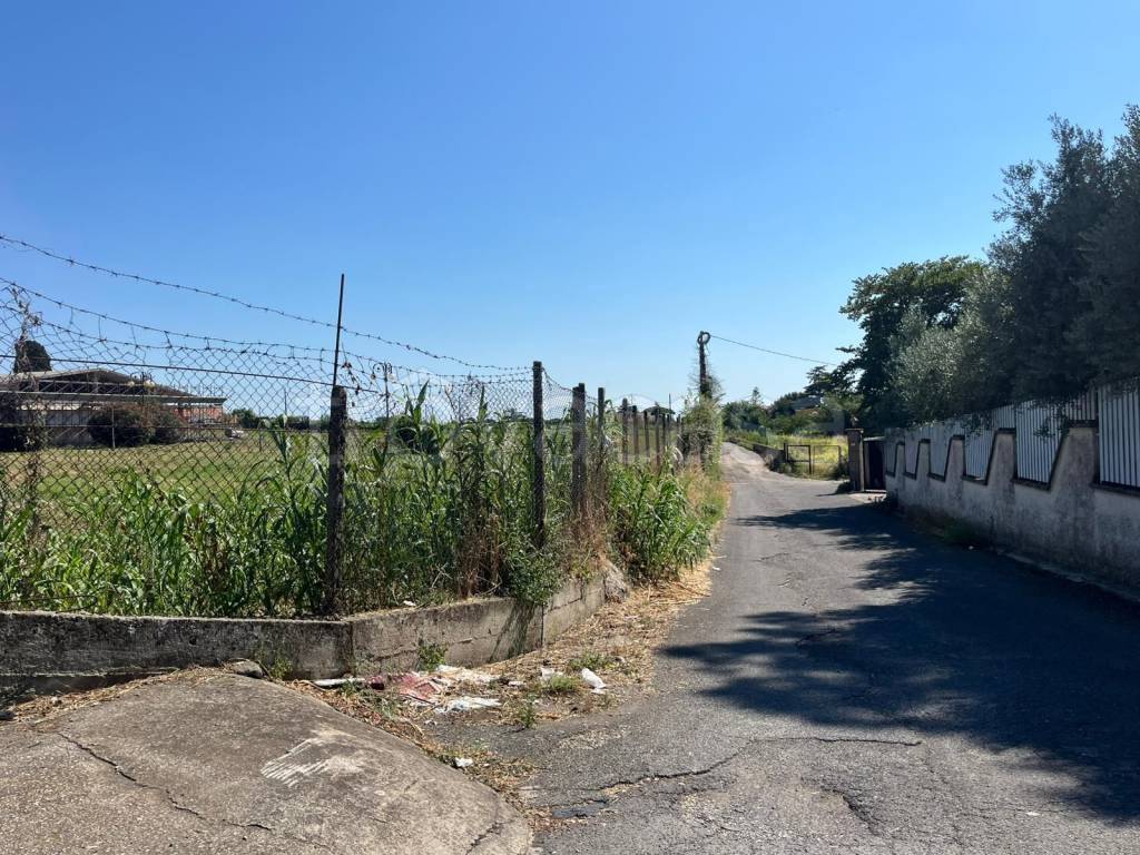 immagine annuncio 8 di 9