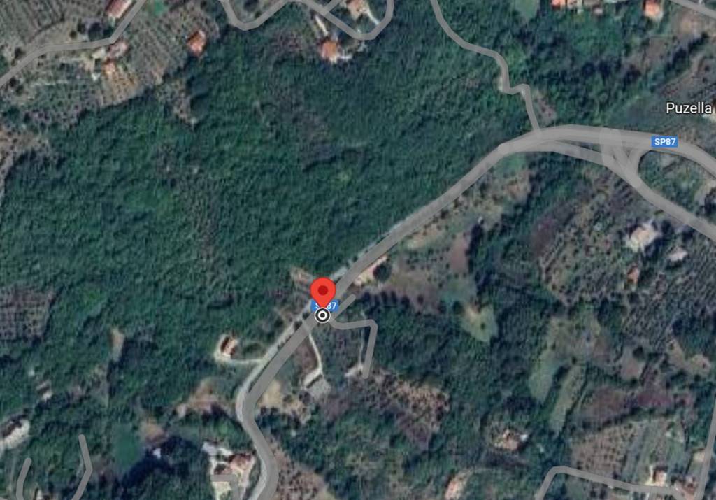 immagine annuncio 2 di 13