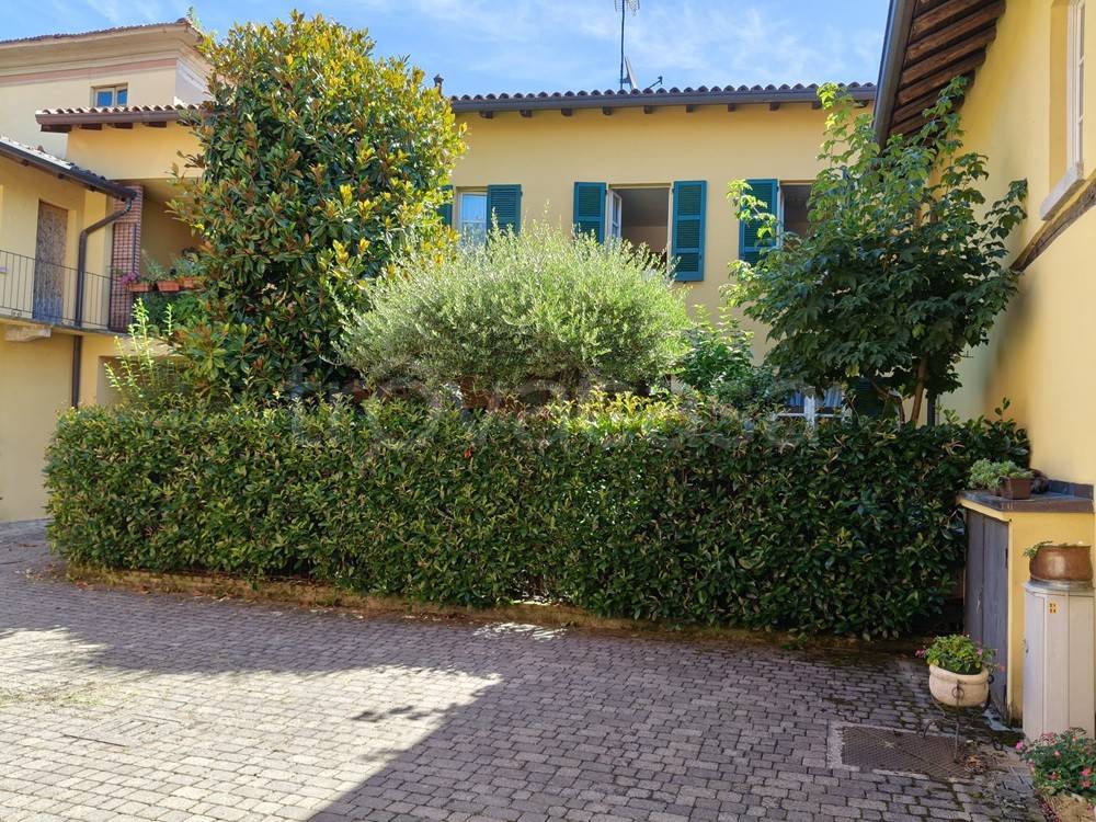 immagine annuncio 1 di 13