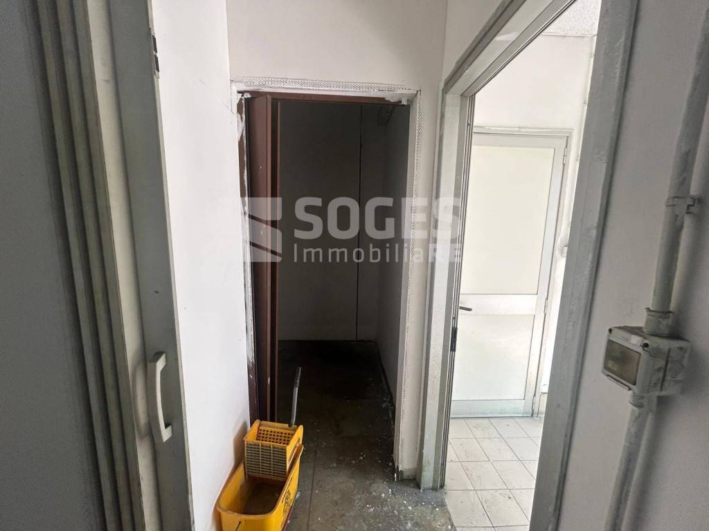 immagine annuncio 11 di 14