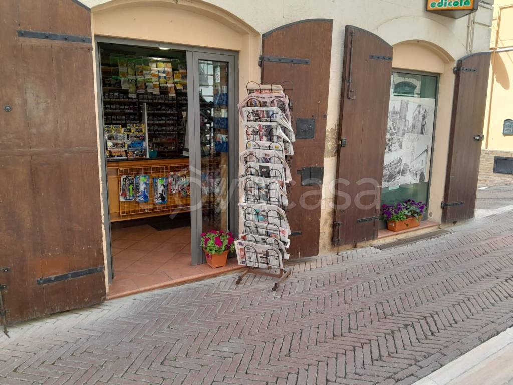 immagine annuncio 1 di 4