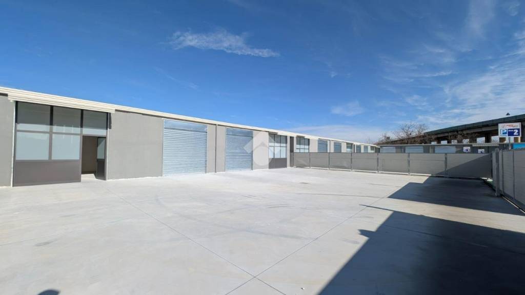 immagine annuncio 5 di 12