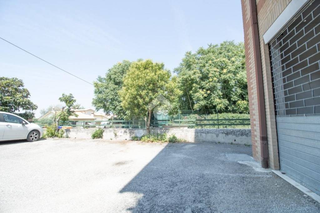 immagine annuncio 9 di 12