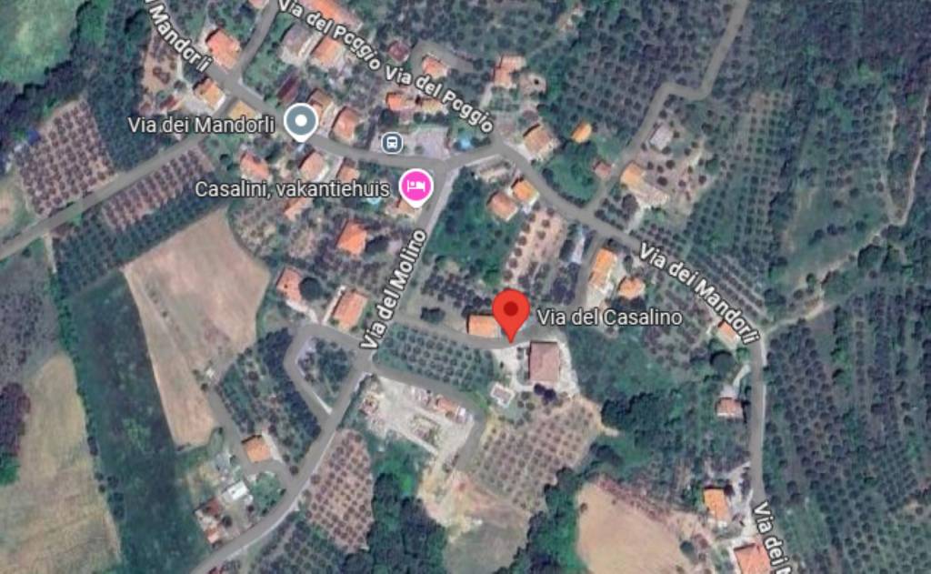 immagine annuncio 10 di 11