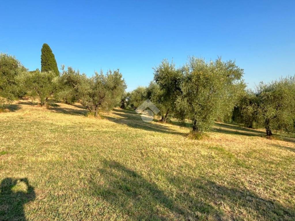 immagine annuncio 2 di 6