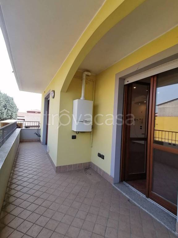 immagine annuncio 4 di 14