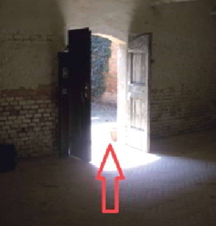 immagine annuncio 2 di 12