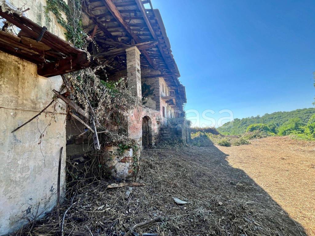 immagine annuncio 6 di 12