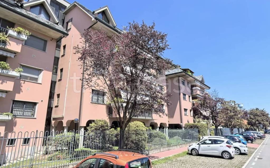 immagine annuncio 1 di 6