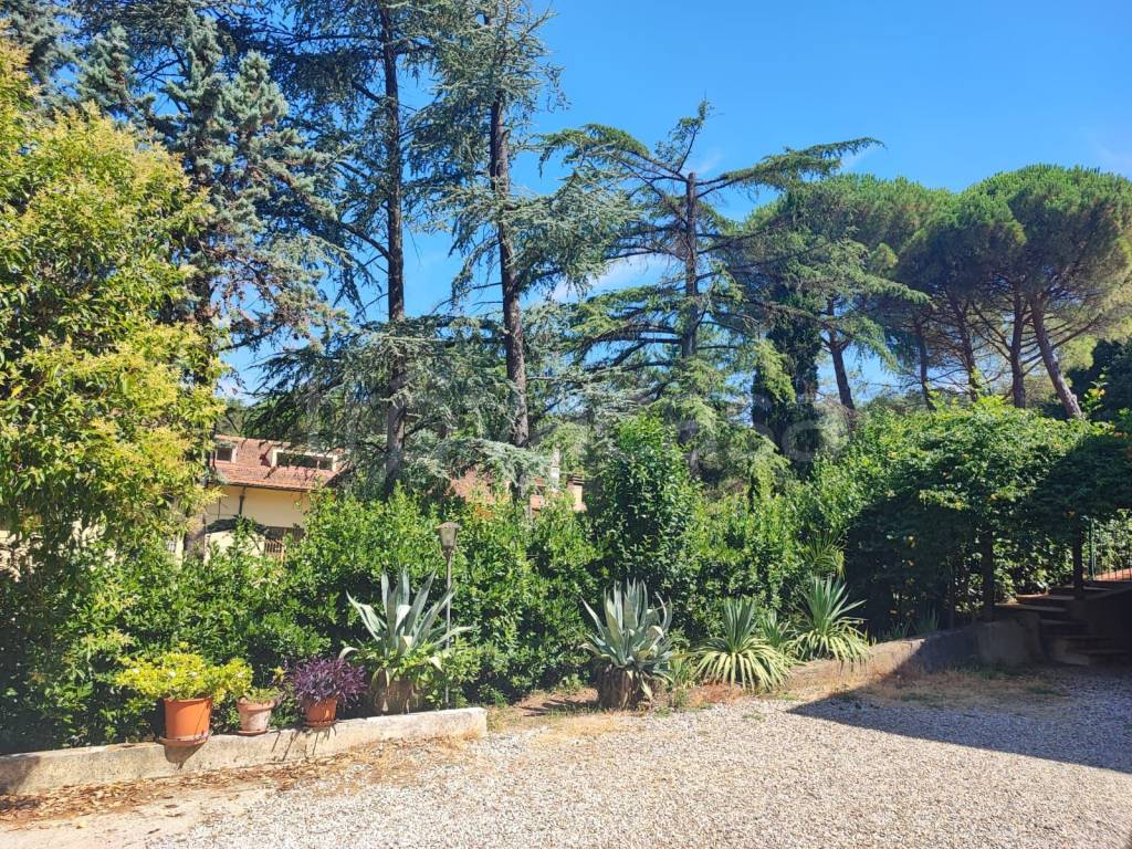 immagine annuncio 4 di 8
