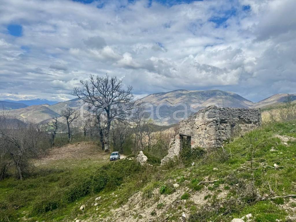 immagine annuncio 13 di 15