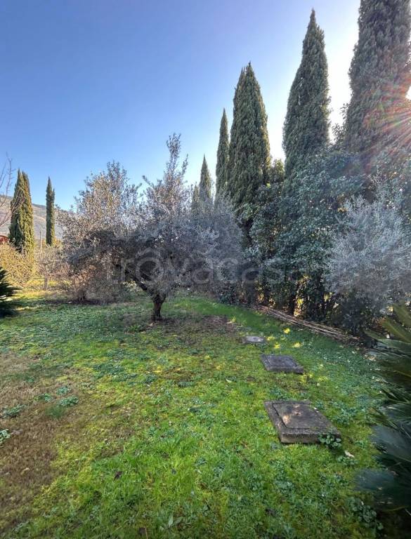 immagine annuncio 5 di 12