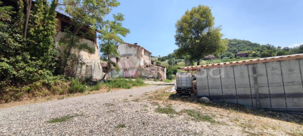 immagine annuncio 5 di 12