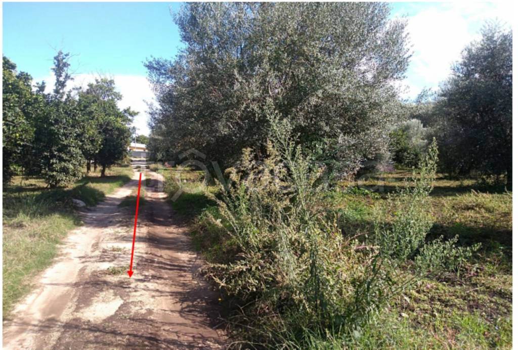 immagine annuncio 2 di 11