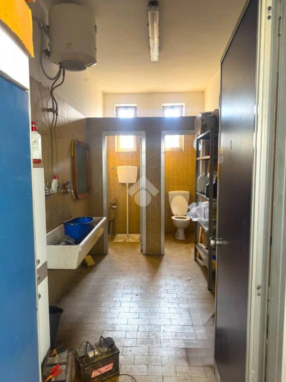 immagine annuncio 6 di 14