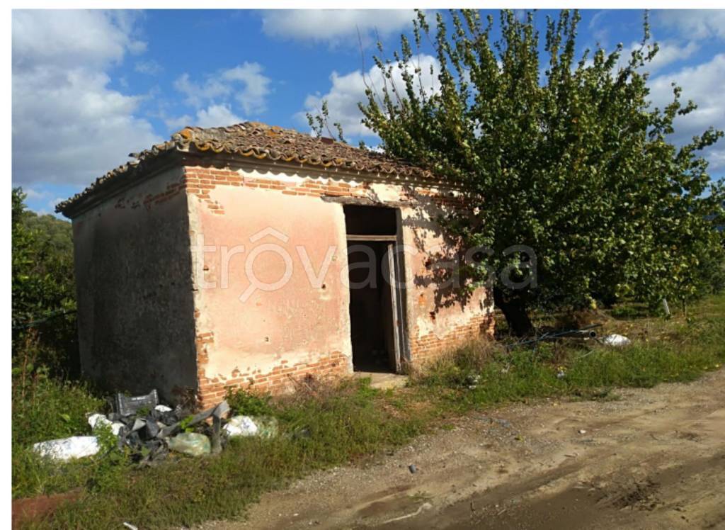 immagine annuncio 10 di 11