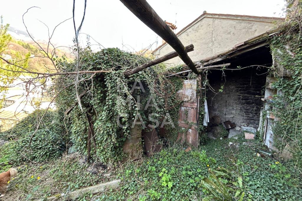 immagine annuncio 5 di 12