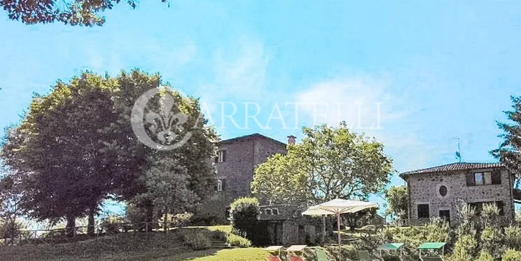 immagine annuncio 9 di 12