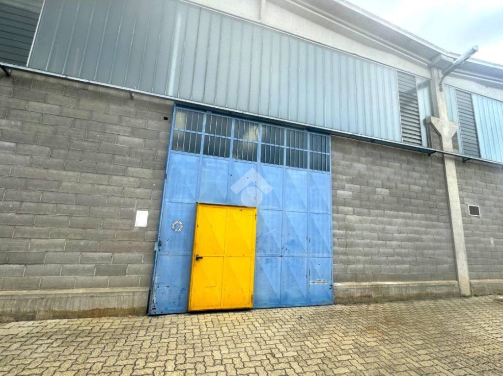 immagine annuncio 12 di 15