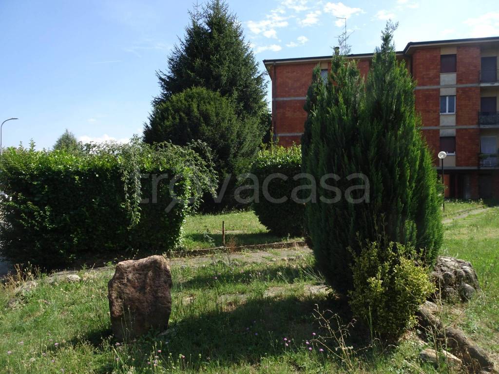 immagine annuncio 1 di 9