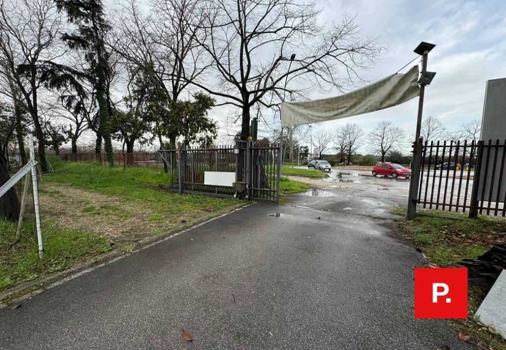 immagine annuncio 7 di 12