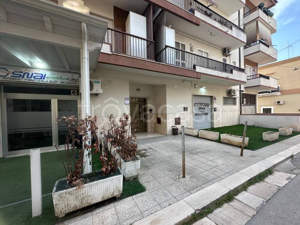 immagine annuncio 5 di 15
