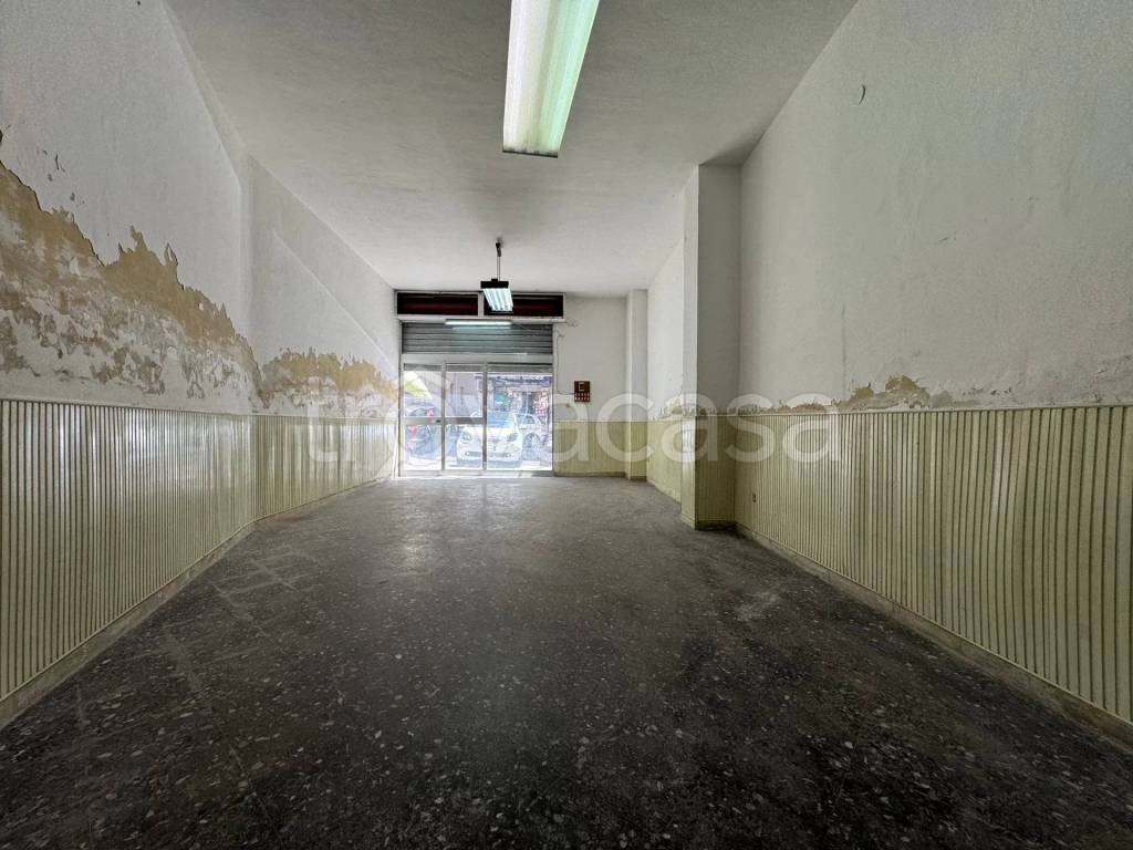 immagine annuncio 3 di 12