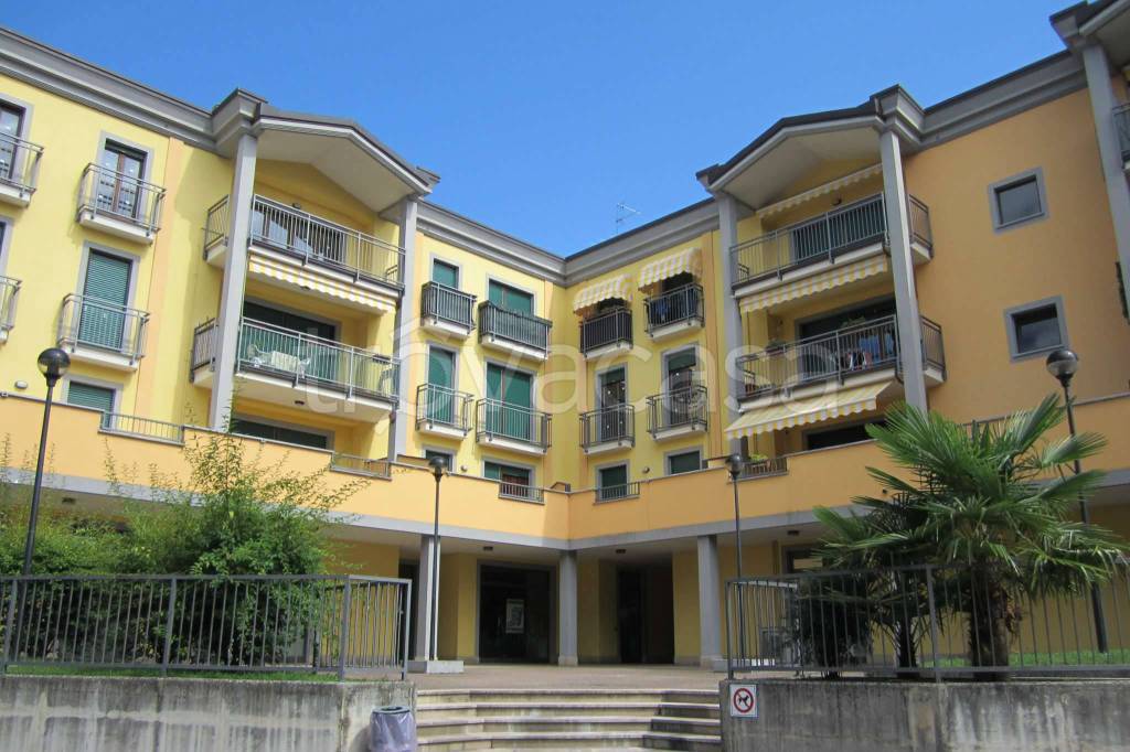 immagine annuncio 11 di 15