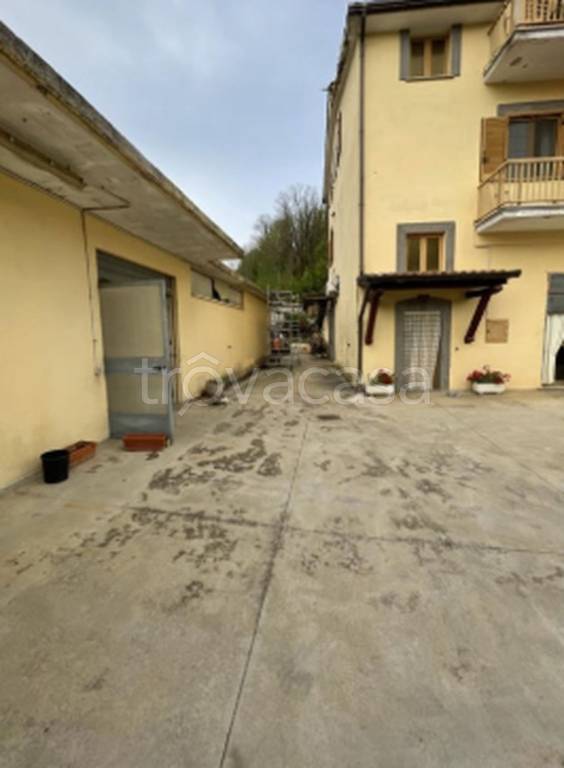 immagine annuncio 12 di 14