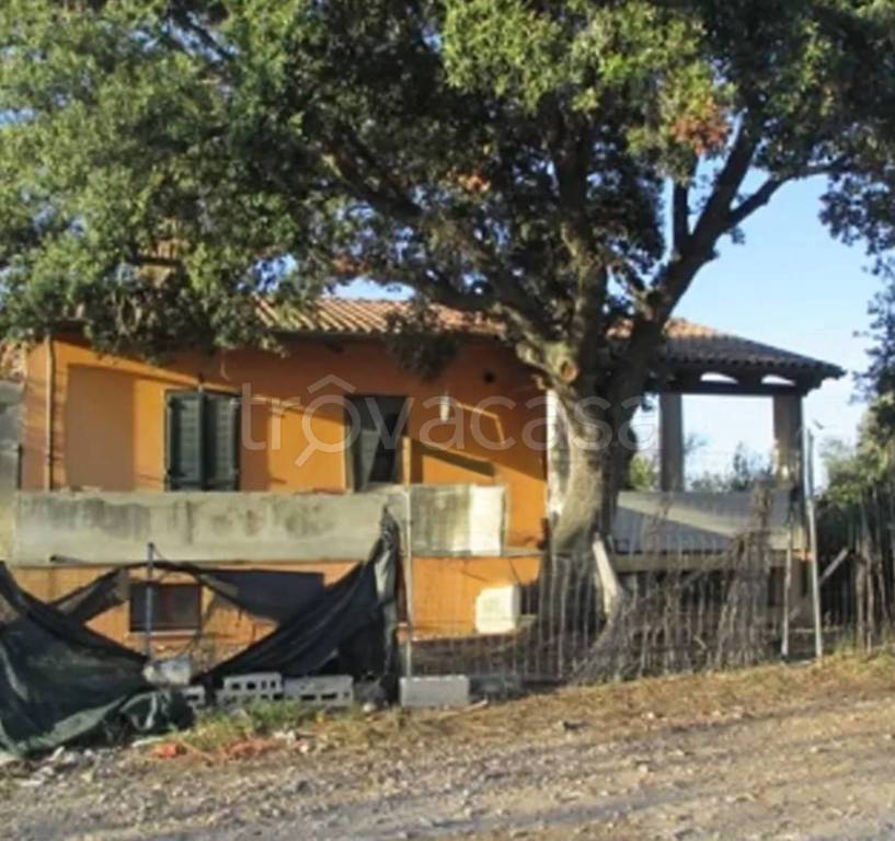 immagine annuncio 7 di 11