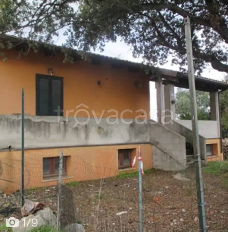 immagine annuncio 8 di 11