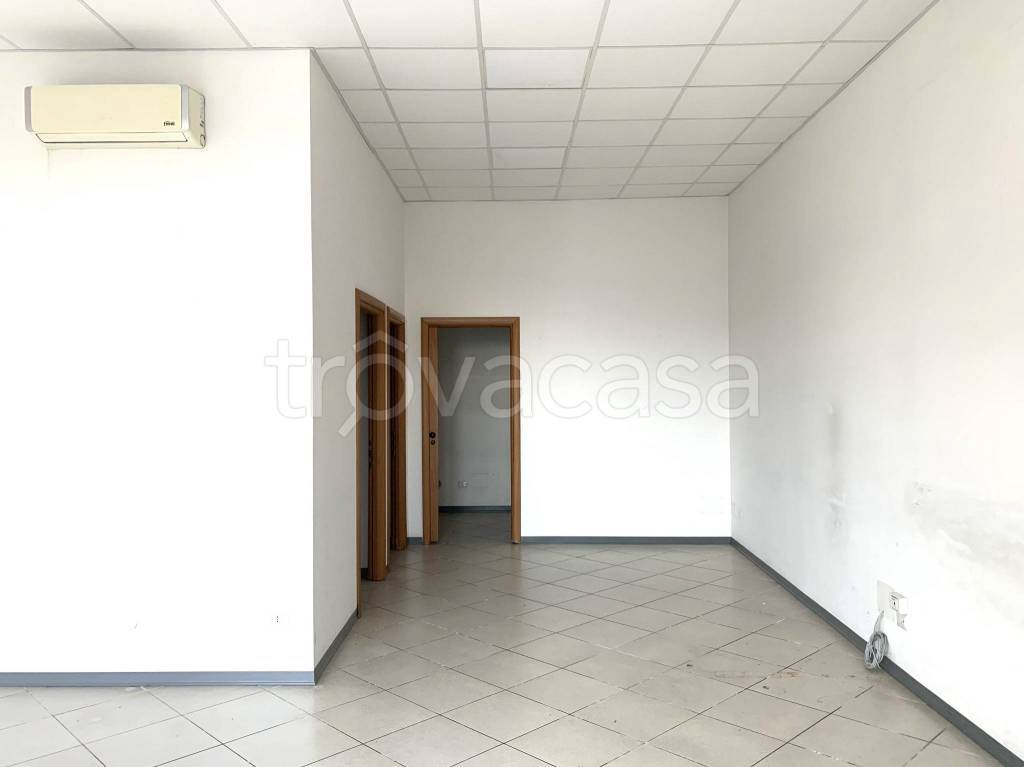 immagine annuncio 2 di 6