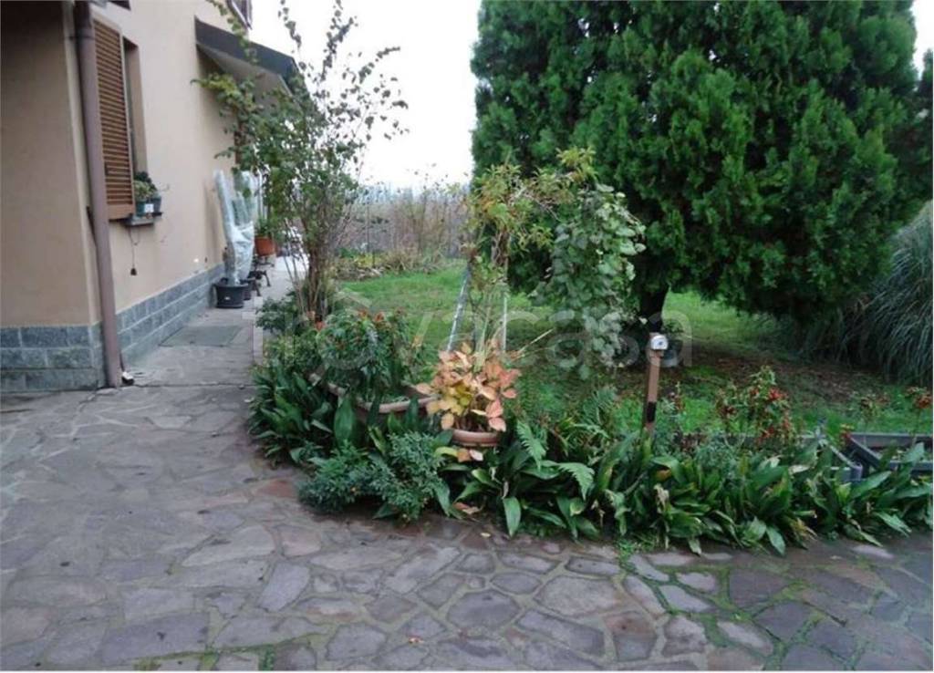 immagine annuncio 11 di 14