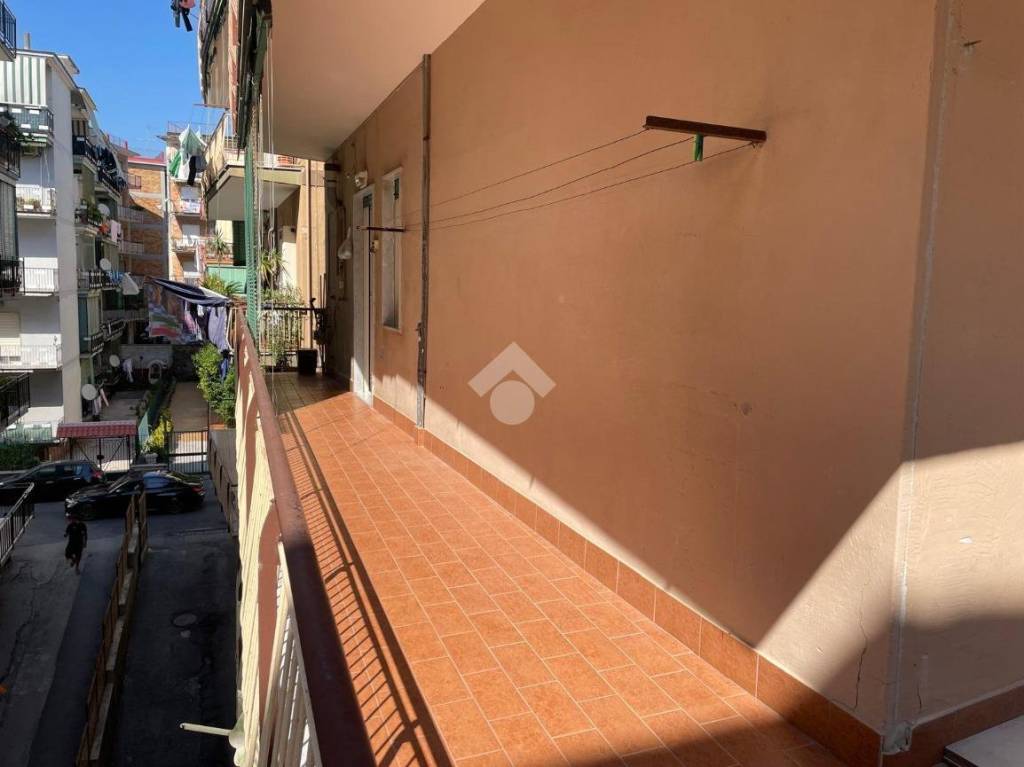 immagine annuncio 6 di 14