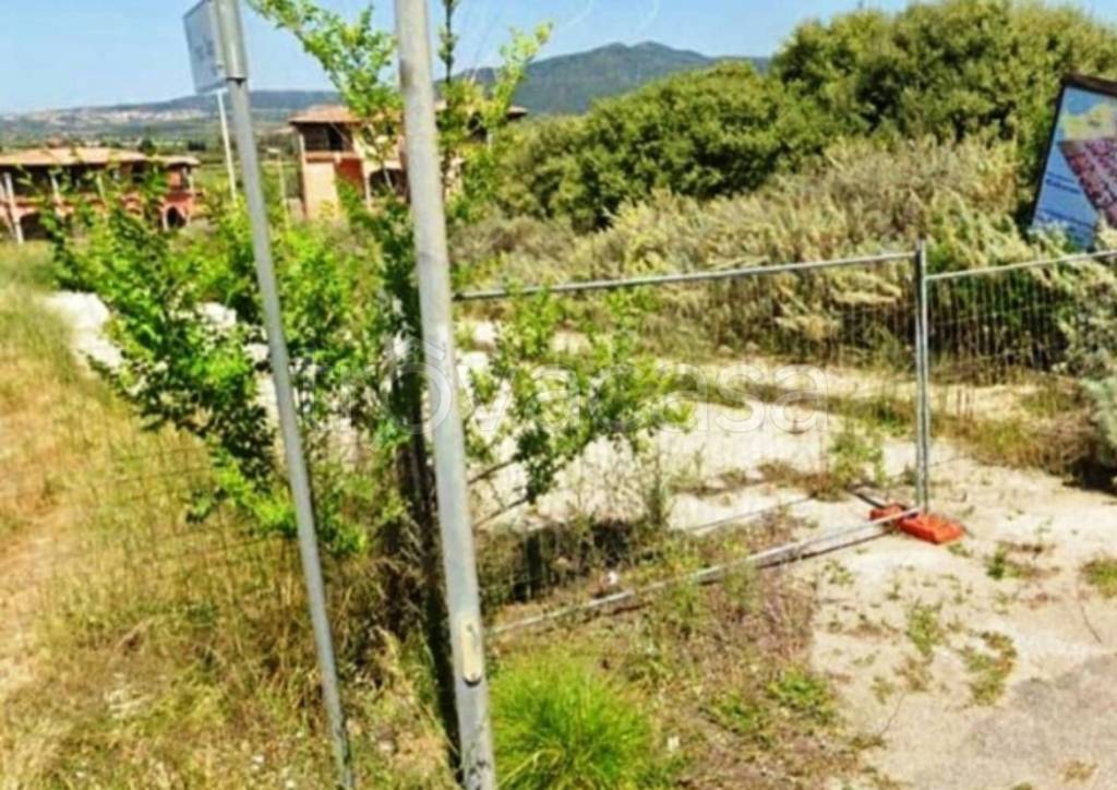 immagine annuncio 9 di 11