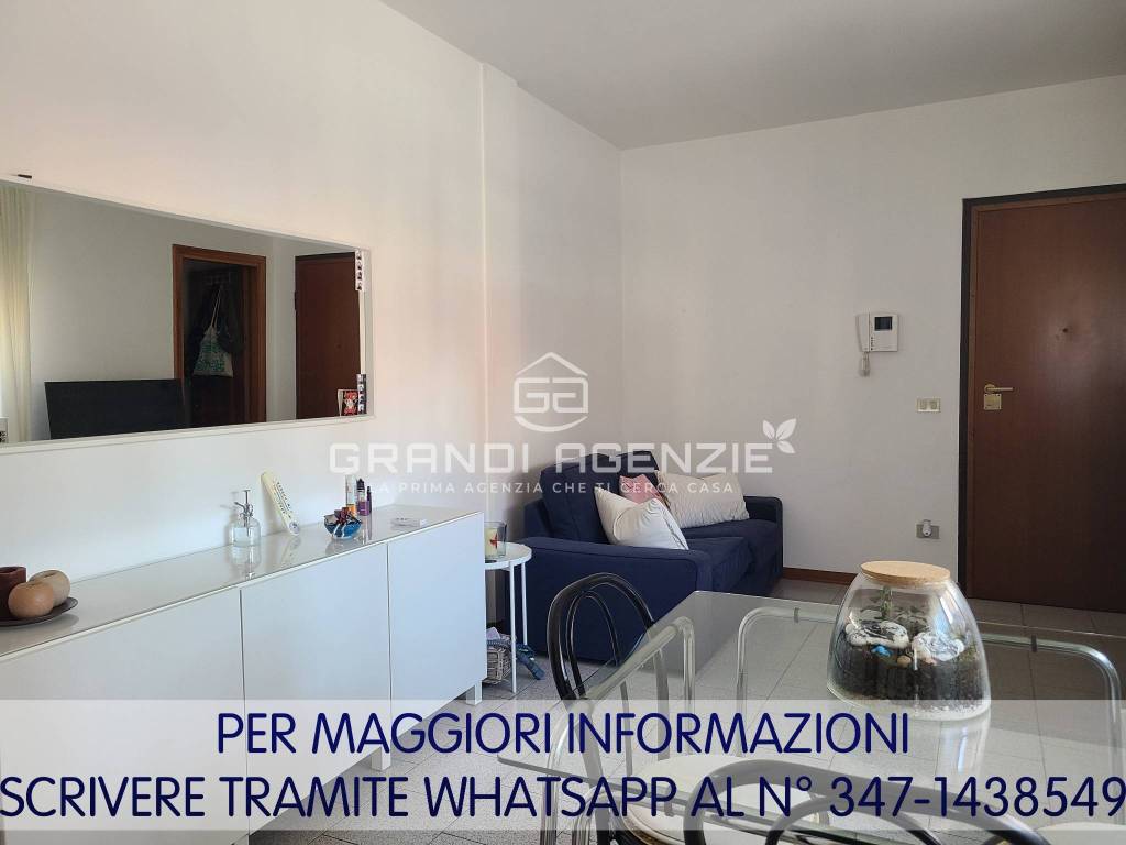 immagine annuncio 3 di 13