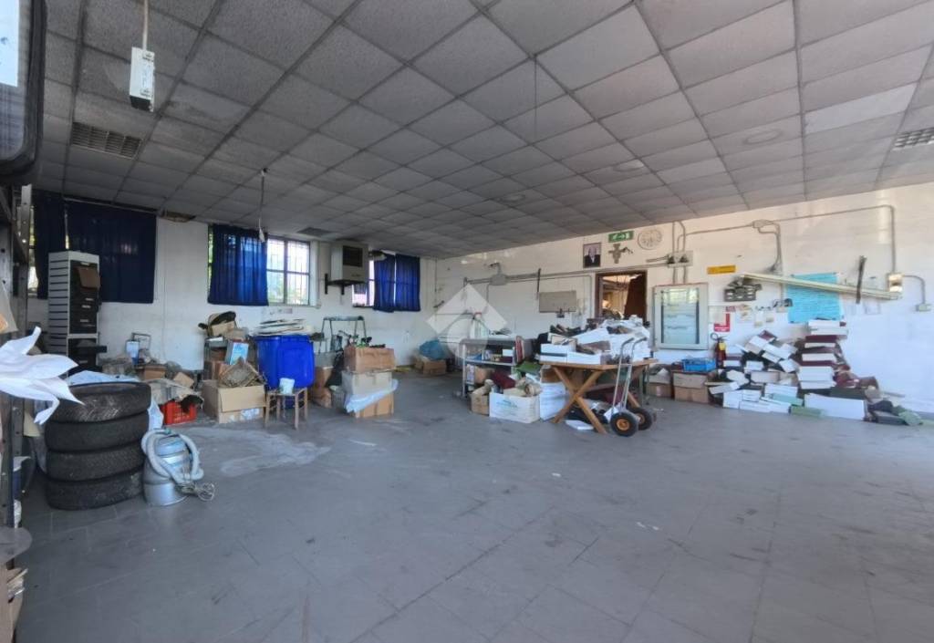 immagine annuncio 2 di 9