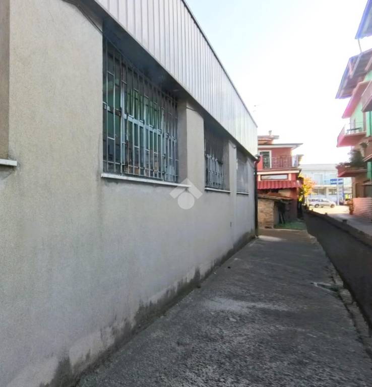 immagine annuncio 5 di 9