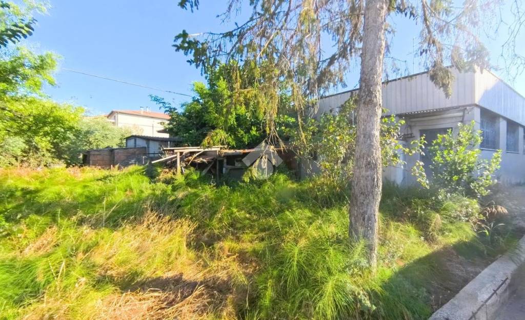 immagine annuncio 7 di 9