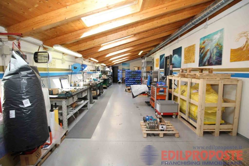 immagine annuncio 9 di 15