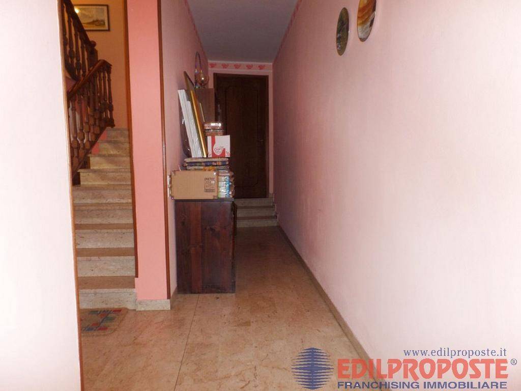 immagine annuncio 4 di 14