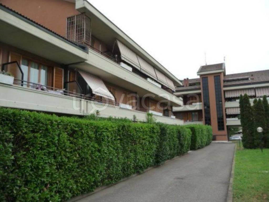 immagine annuncio 5 di 11