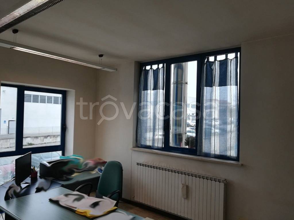 immagine annuncio 10 di 13