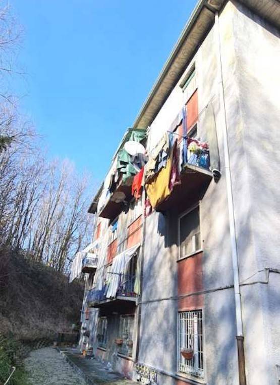 immagine annuncio 1 di 6