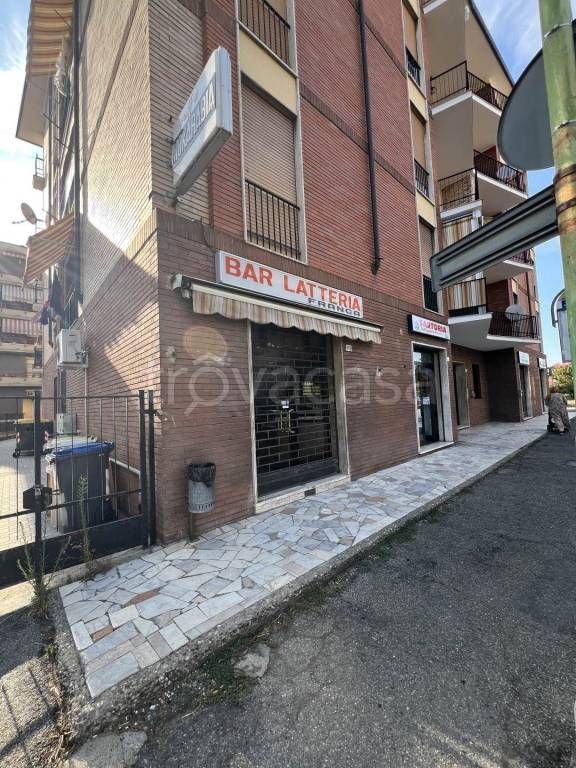 immagine annuncio 2 di 4