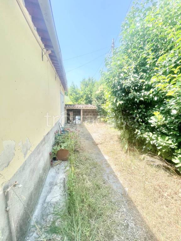 immagine annuncio 5 di 6