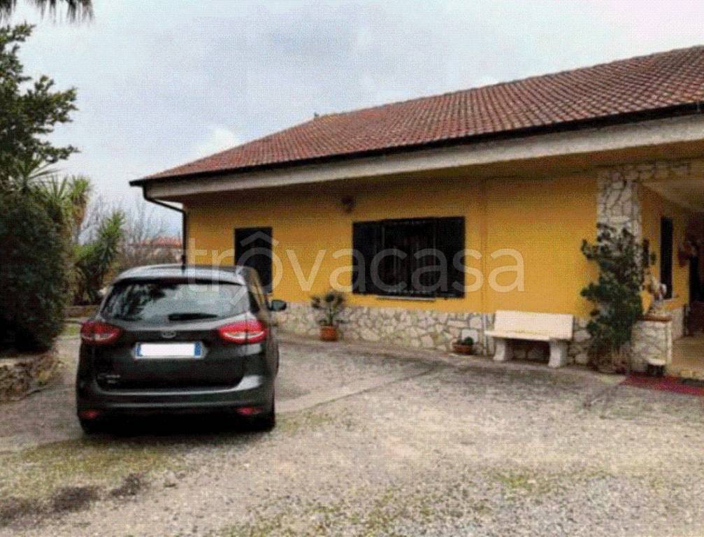 immagine annuncio 4 di 8