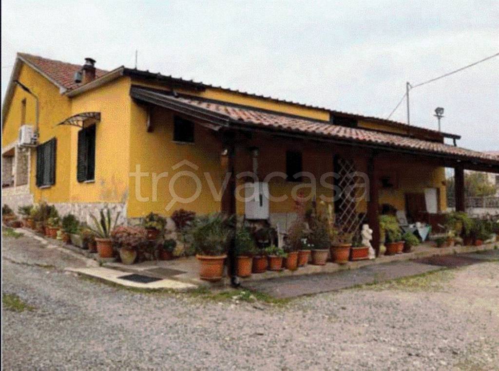 immagine annuncio 5 di 8